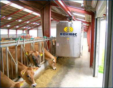 distributeur-d-aliment-automatique-pour-vaches-laitieres-et-bovins-sur-rail