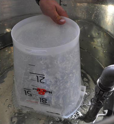 Flush Master facilite le nettoyage des seaux à lait des veaux