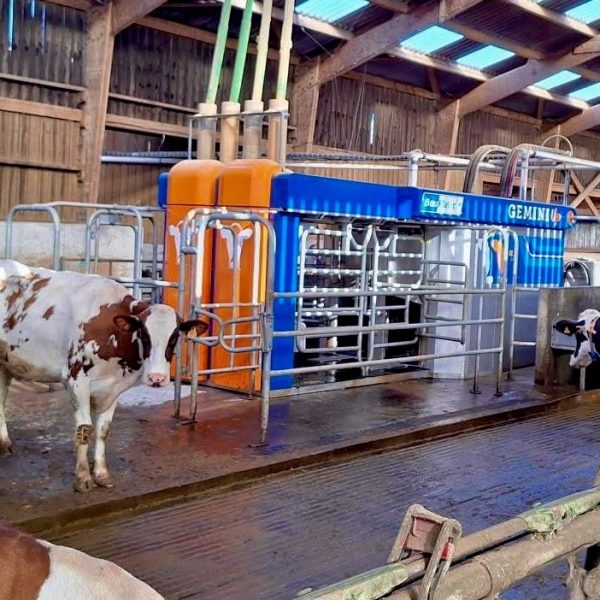 Portes ouvertes - Plouvien - GeminiUp - Bretagne - Finistère Nord - Robot de traite - Ploudaniel